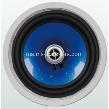 jualan panas pa 8&#39;&#39;ceiling speaker